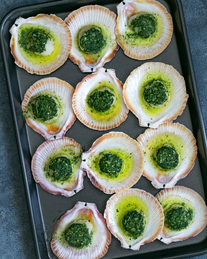 Scallops in Shells Recipe: How to Make It