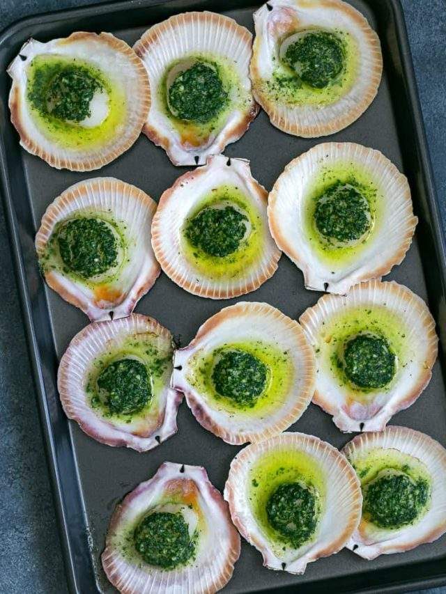 Baked Scallops with Garlic Butter Story Between2Kitchens